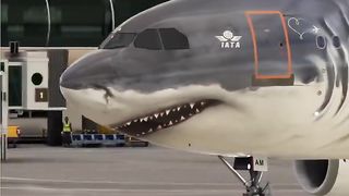 Flying shark!