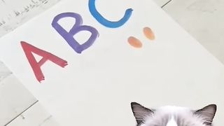 #love #viral #fyp #bts #foryou #cat #cute