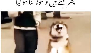 Funny video