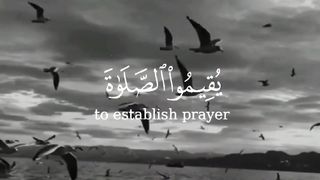 قل لعبادي الذين آمنوا يقيموا الصلاة #سورة_ابراهيم