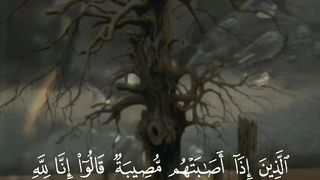 القرأن الكريم