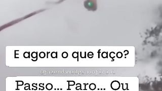 O que você faria ?