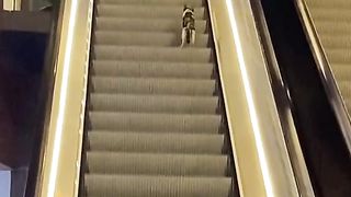the impossible dream #funnycats450 #cat #funny #cats #cute #shortvideo #cutecat #catlover #catlife