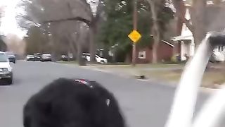 How to win a fight you already lost