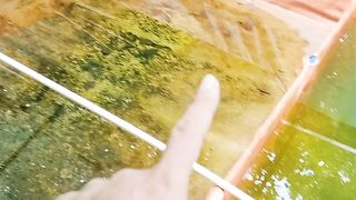 Buat kolam lele sesuaikan dengan segmen nya agar nanti bisa dialihfungsikan