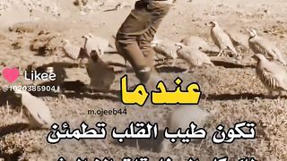 WhatsApp statuses