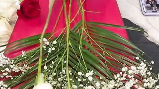 Layed Roses