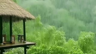 Rainy night