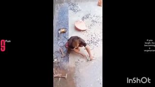 Funny videos