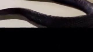 #الشيخ خالد الجليل القران_الكريم