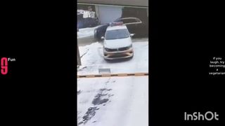 Funny videos