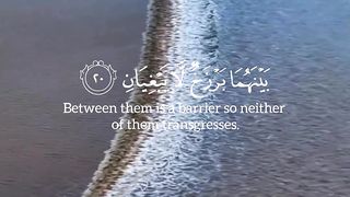 [ مَرَجَ الْبَحْرَيْنِ يَلْتَقِيَانِ ] سورة الرحمن ـ