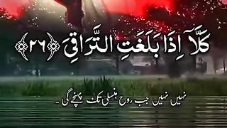 #القران_الكريم
