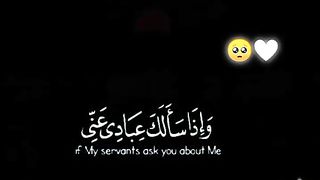 #القران_الكريم