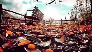 القران_الكريم
