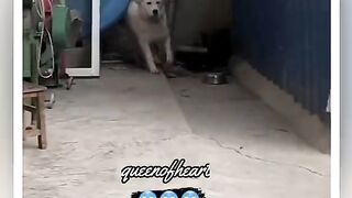 really funny training
