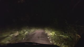 3 Terrifying True Night Drive Scary Stories 2023 for a Cold  Night/unbelievable but true
