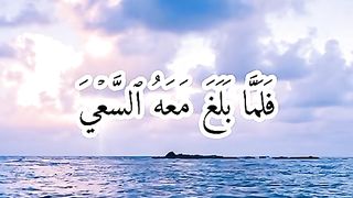 القران_الكريم