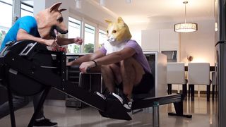 Animal Mask Fitness: Stay Active at Home During the 2020 Pandemic