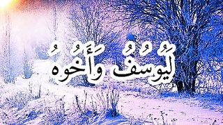 القران_الكريم