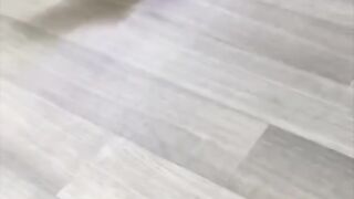 The elegant owl dance