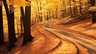 It does not matter how slowly you go so long as you do not stop.