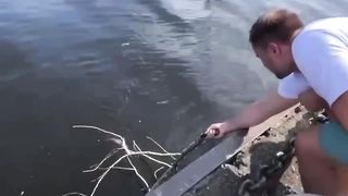 Rescue of a squirrel that fell into the water