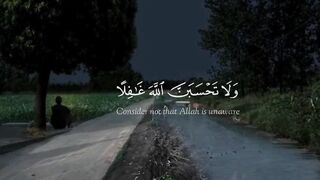 Quran