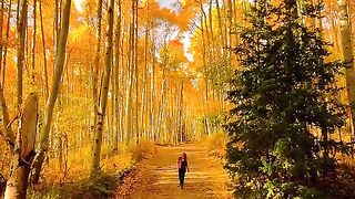 “Be like a tree and let the dead leaves drop.”