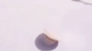 مقاطع مضحكه 2024????????