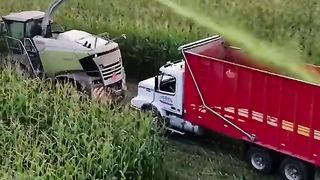 ألات