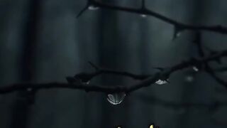 خد الوصيه دي ليك