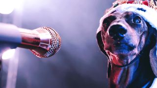 Magical Serenade: Black Dachshund Sings on Mic Against Smoky Backdrop!