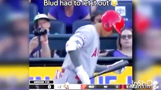 Funny videos