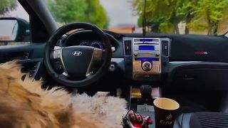 ???????? حاله وتساب تصوير سيارات