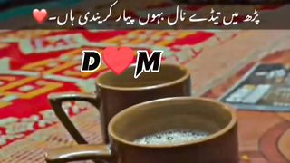 Love D&M Short video for tiktok