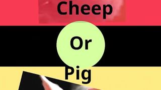 what you prefer