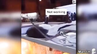 Funny videos