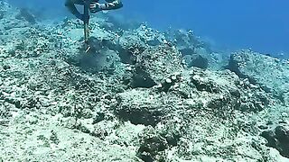Hunting fish Exploring Underwater Hunting: A Dive into the Depths