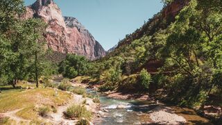 nature