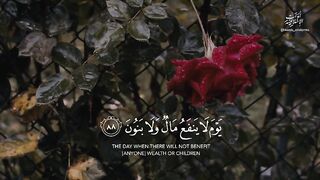 ❤️قرآن كريم