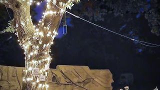 من نوى صيام رمضان فالصلي على حبيب الرحمن