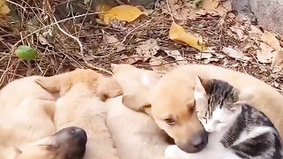 Lemme just squeeze in there...????????????????