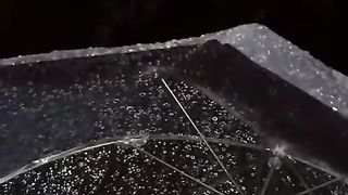 ❤️!!انظر لجمال الصوت ❤️قرآن كريم ❤️قرآن كريم