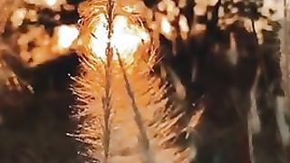 لجمال الصوت ❤️!!انظر لجمال الصوت ❤️قرآن كريم