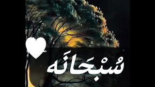 الحنجرة الذهبية