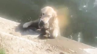 But mom, I was saving it from drowning..????????????????????