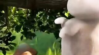 Funny videos