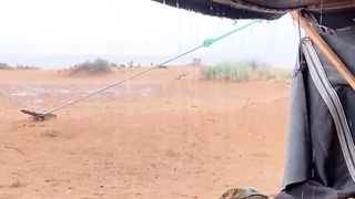 المطر والصحراء