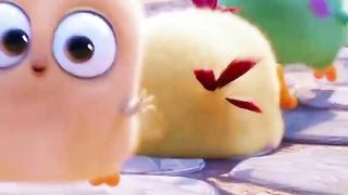 angry bird cartoon